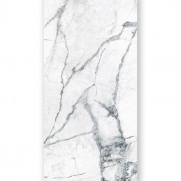 Invisible Polished 60x120