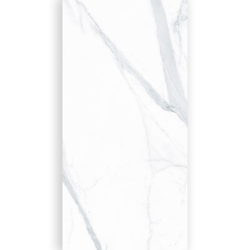 Trevi Blanco 60x120