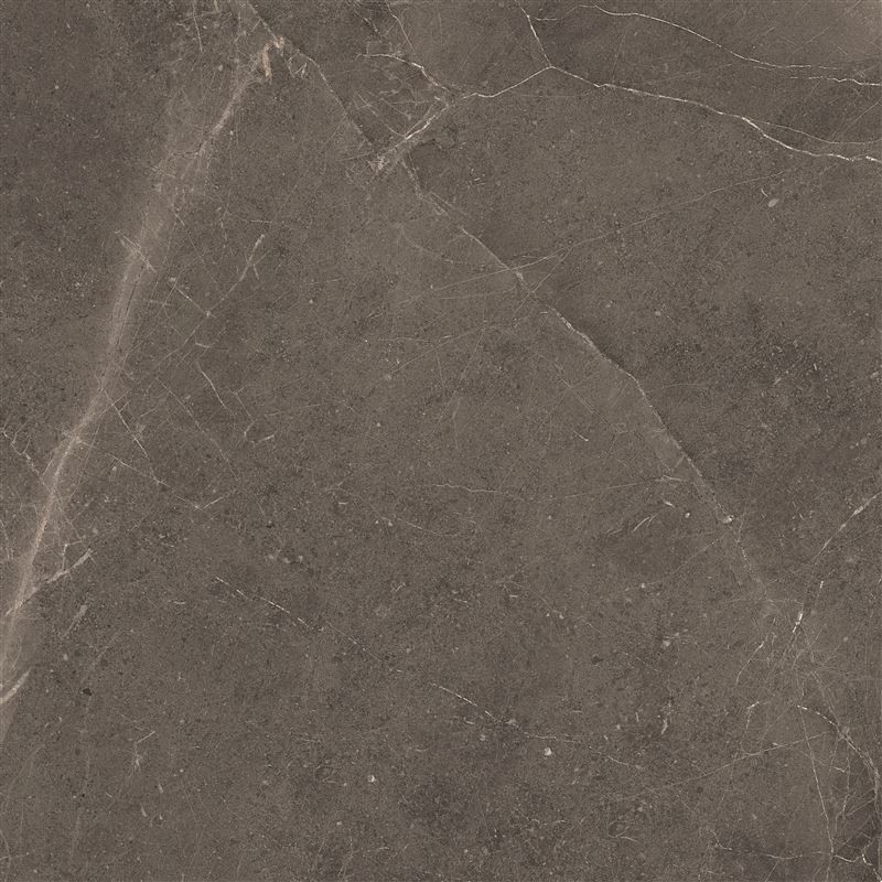 Meteorite Tile Grey 60x60