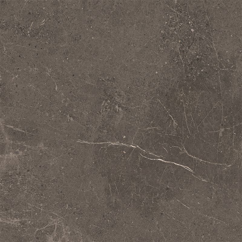 Meteorite Tile Grey 60x60