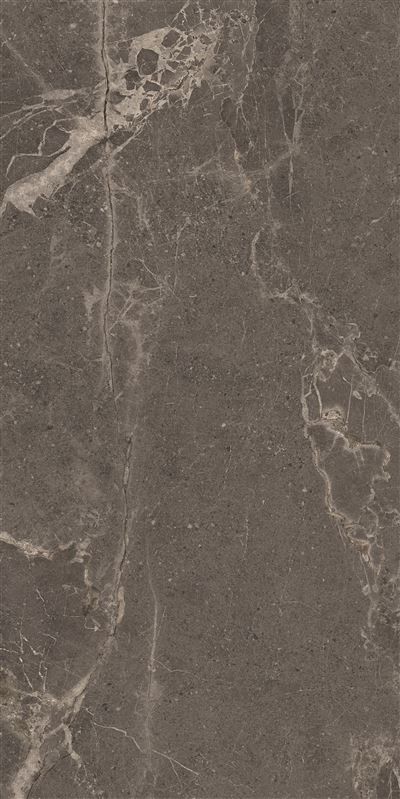 Meteorite Tile Grey 60x120
