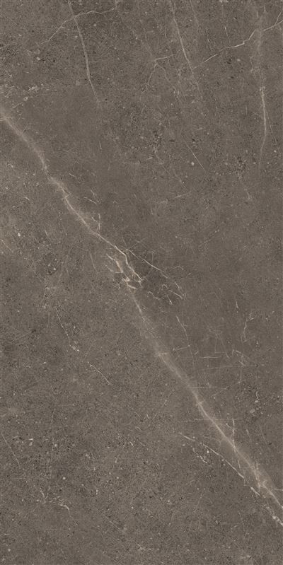 Meteorite Tile Grey 60x120