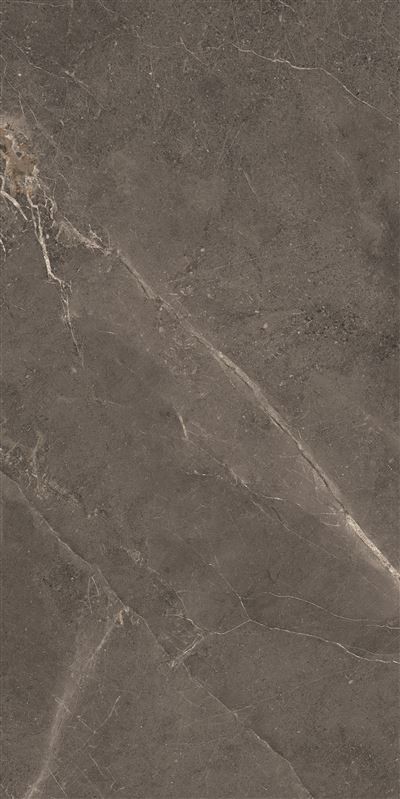 Meteorite Tile Grey 60x120