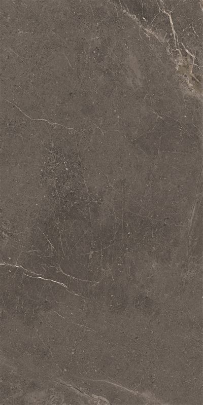 Meteorite Tile Grey 60x120