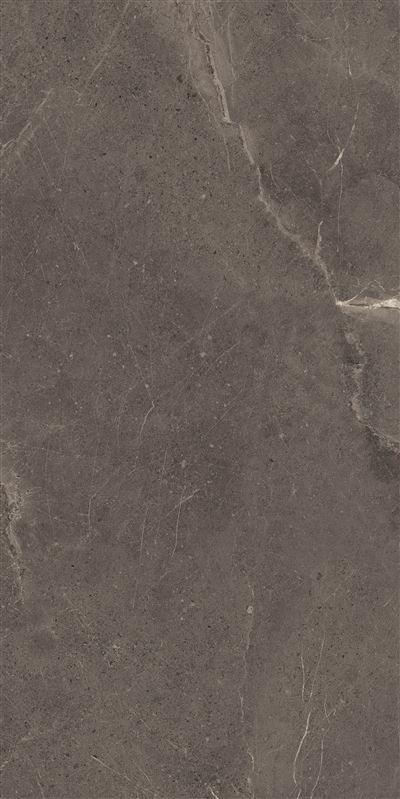 Meteorite Tile Grey 60x120