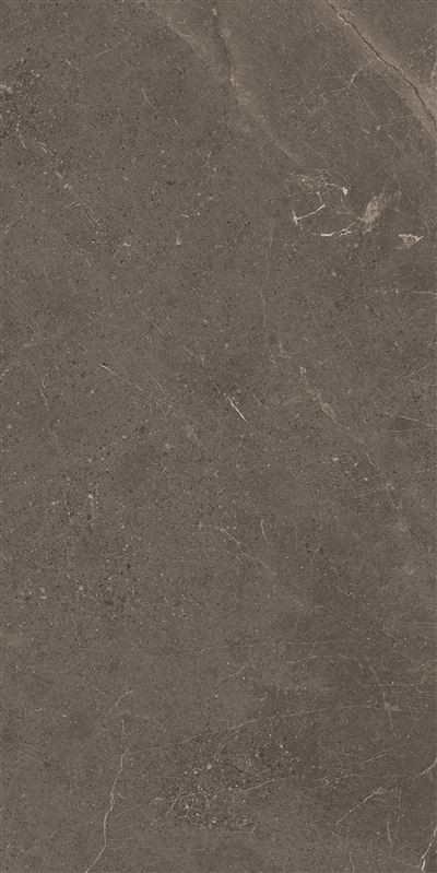 Meteorite Tile Grey 60x120