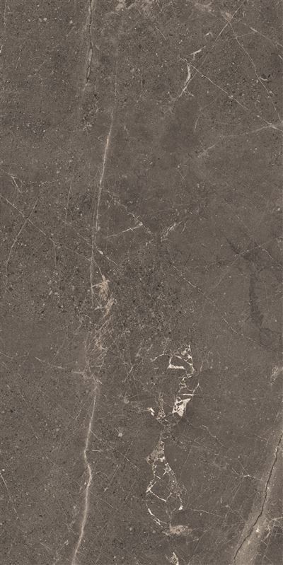 Meteorite Tile Grey 60x120