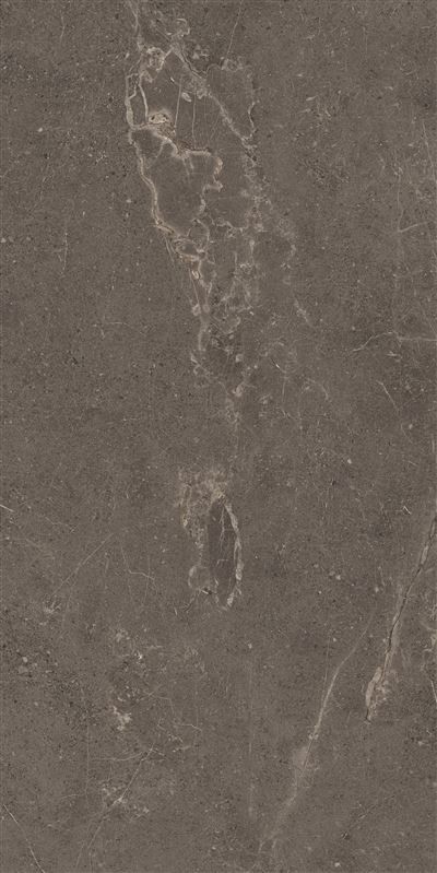 Meteorite Tile Grey 60x120