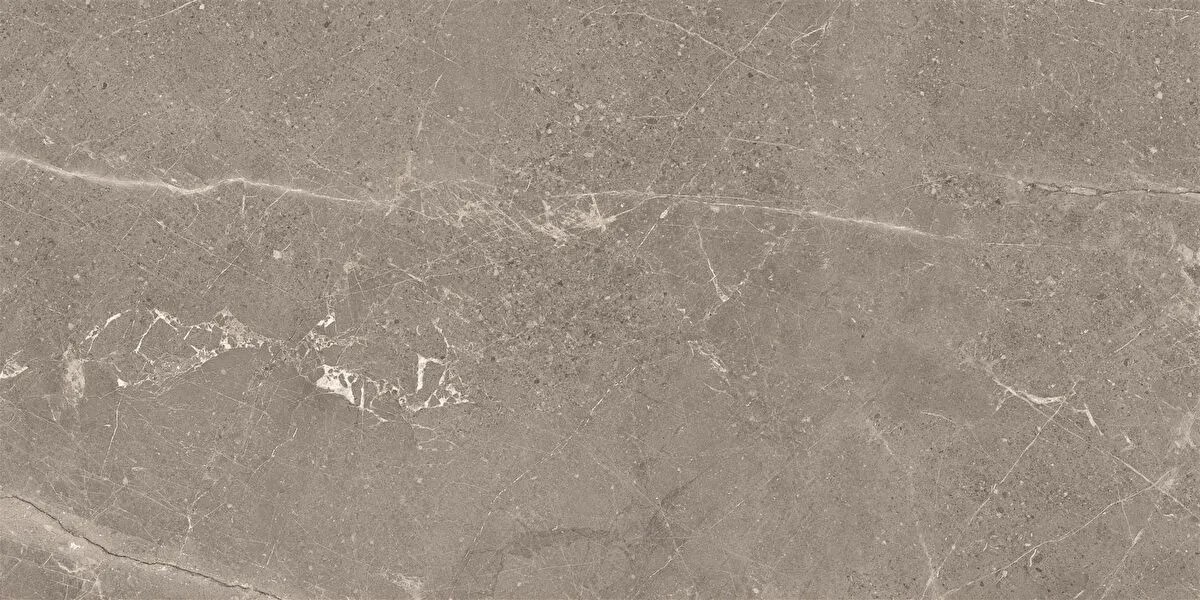 Meteorite Tile Beige 60x120