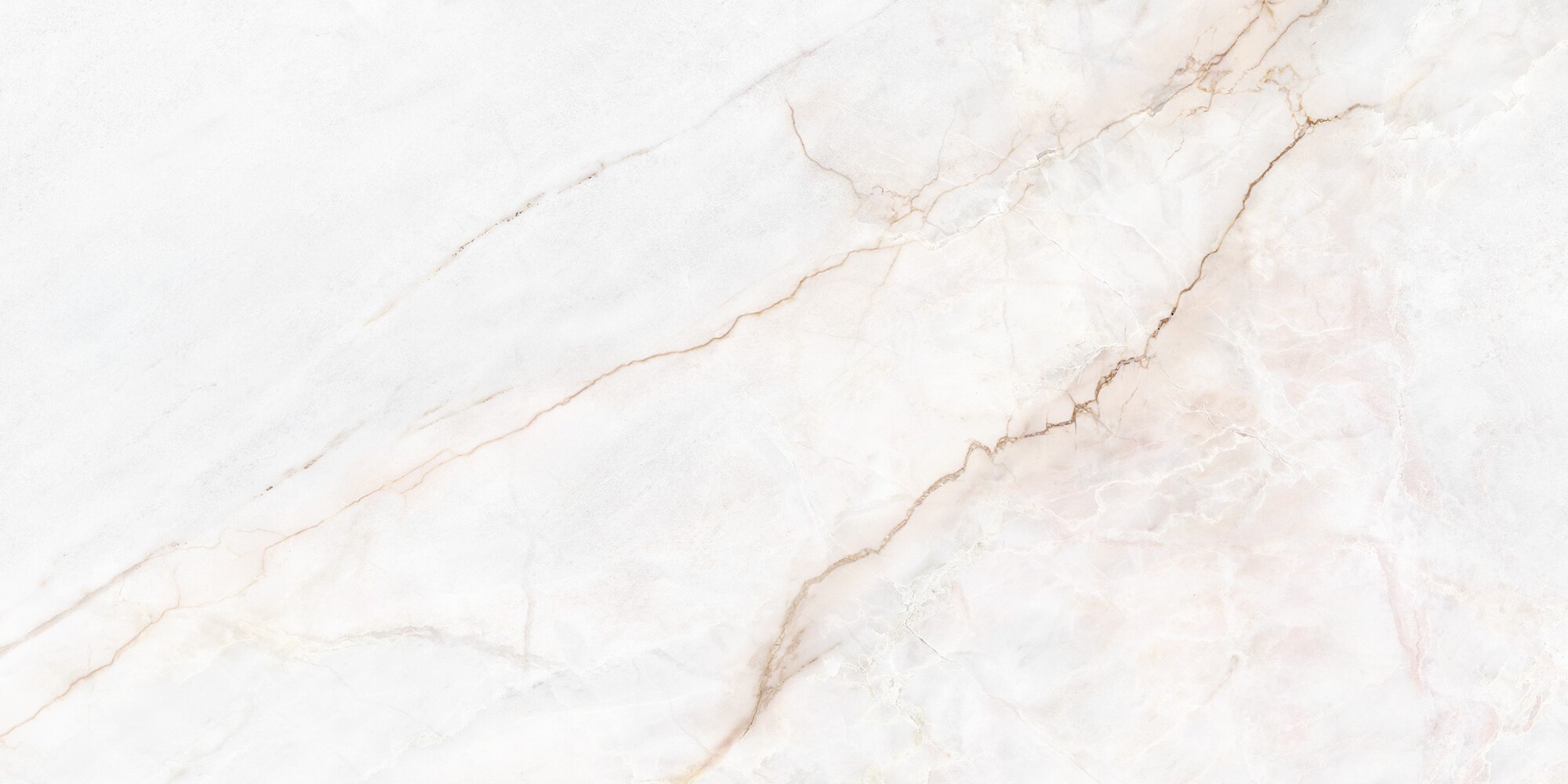 DAHLIA WHITE POLISHED 60x120