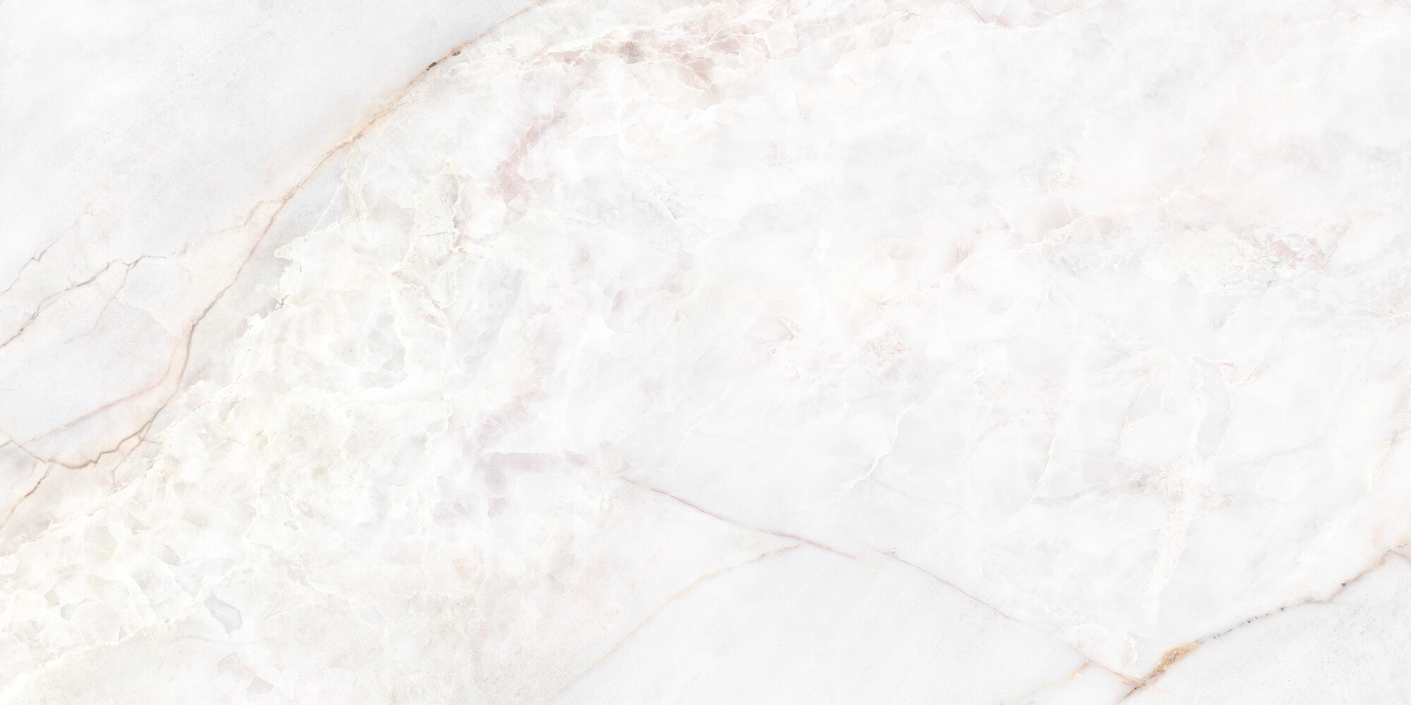 DAHLIA WHITE POLISHED 60x120