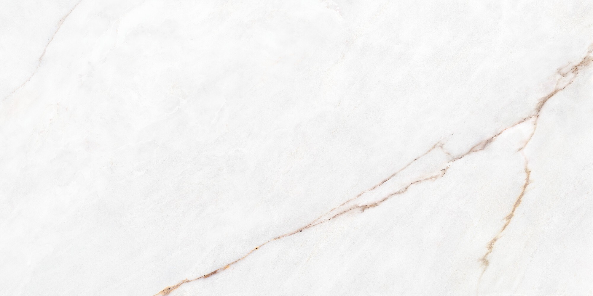 DAHLIA WHITE POLISHED 60x120