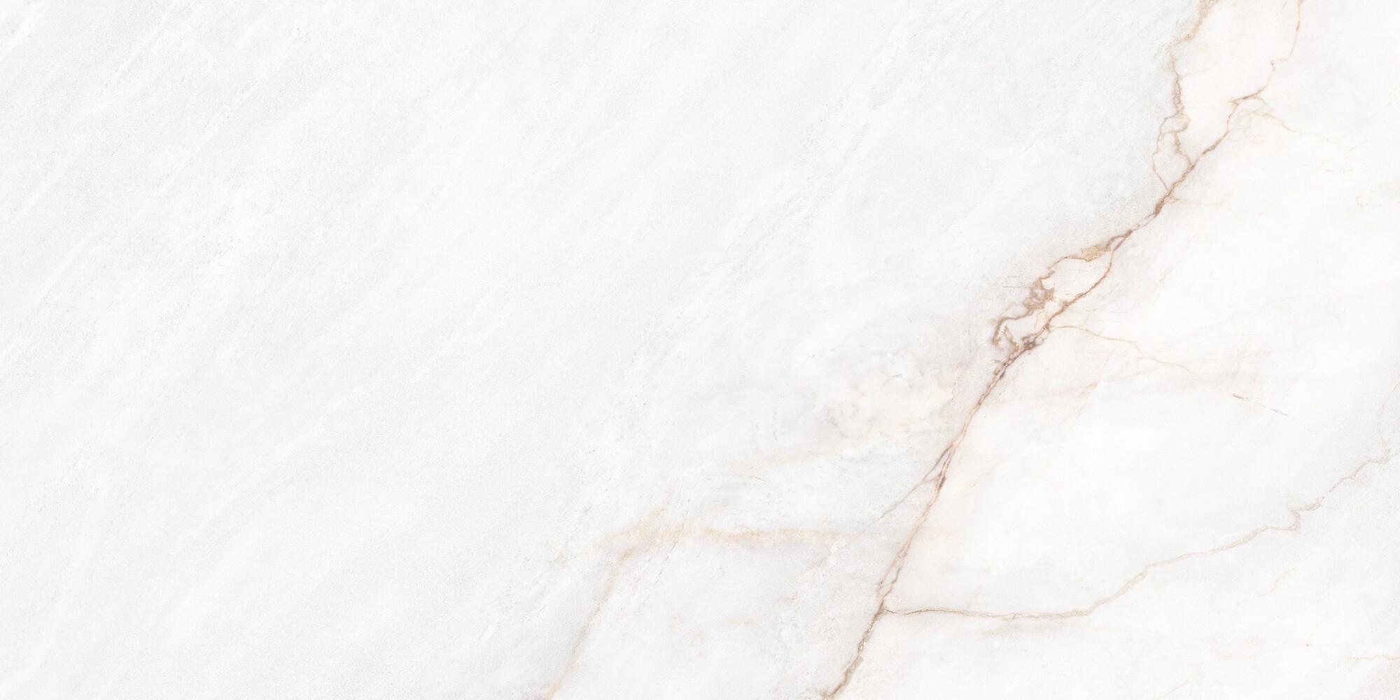 DAHLIA WHITE POLISHED 60x120