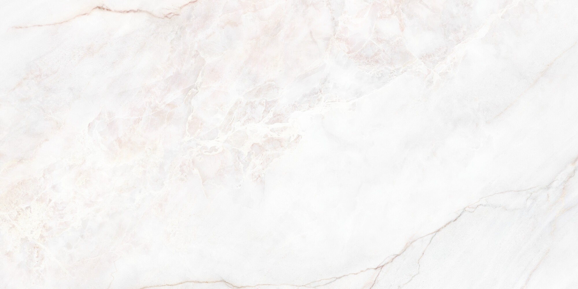 DAHLIA WHITE POLISHED 60x120
