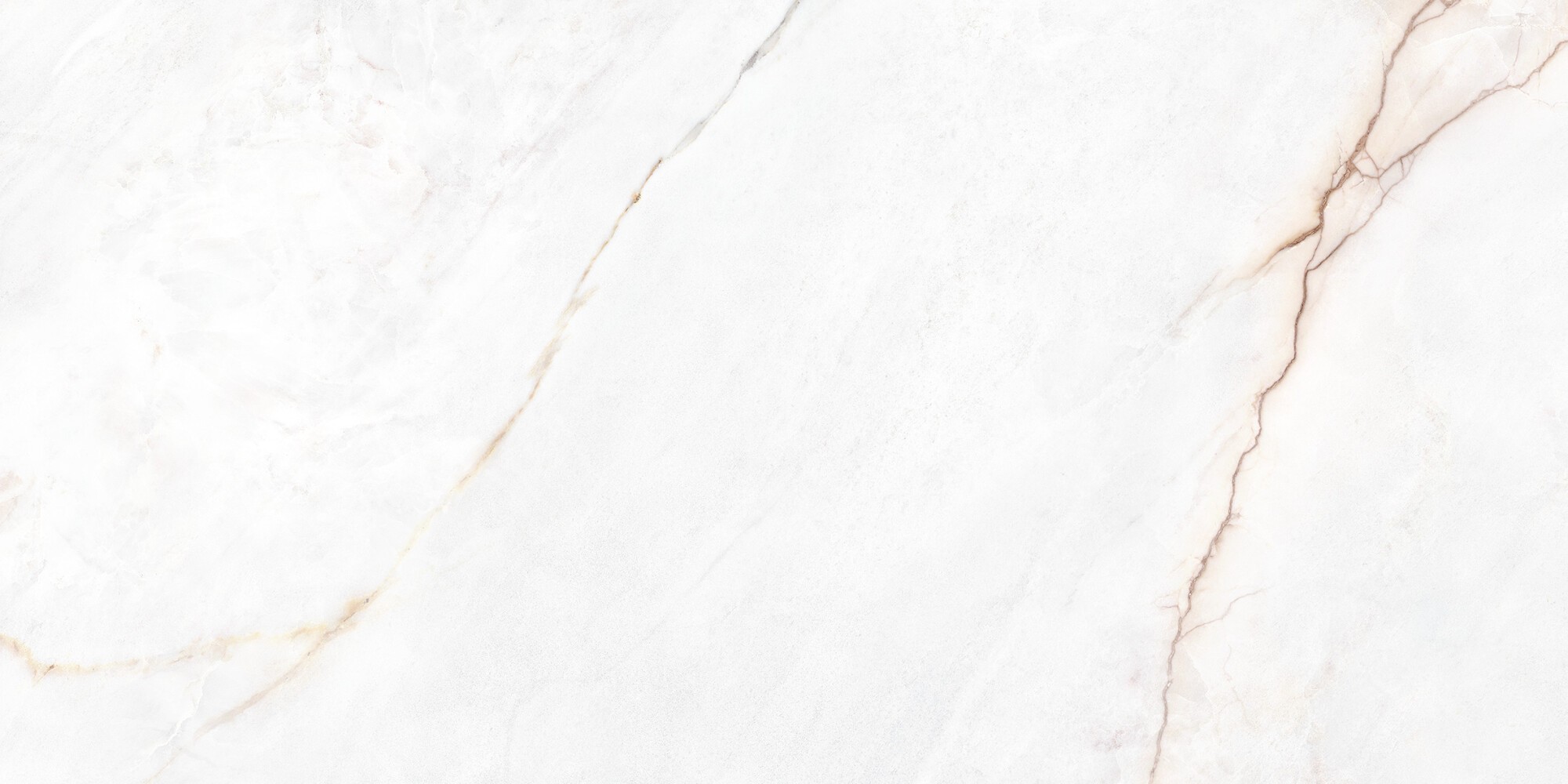 DAHLIA WHITE POLISHED 60x120