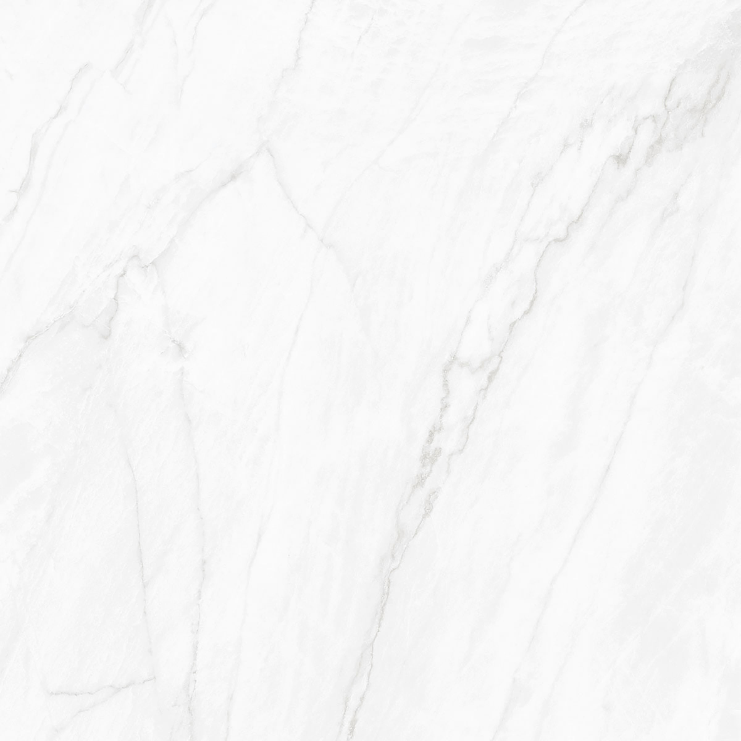 Clarke Shine White Lux 60x120