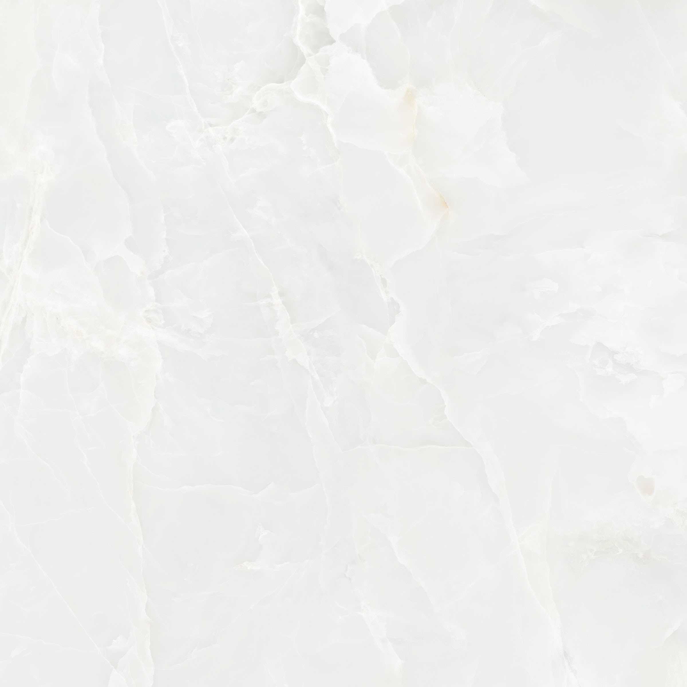 Garner White Polished 60x120
