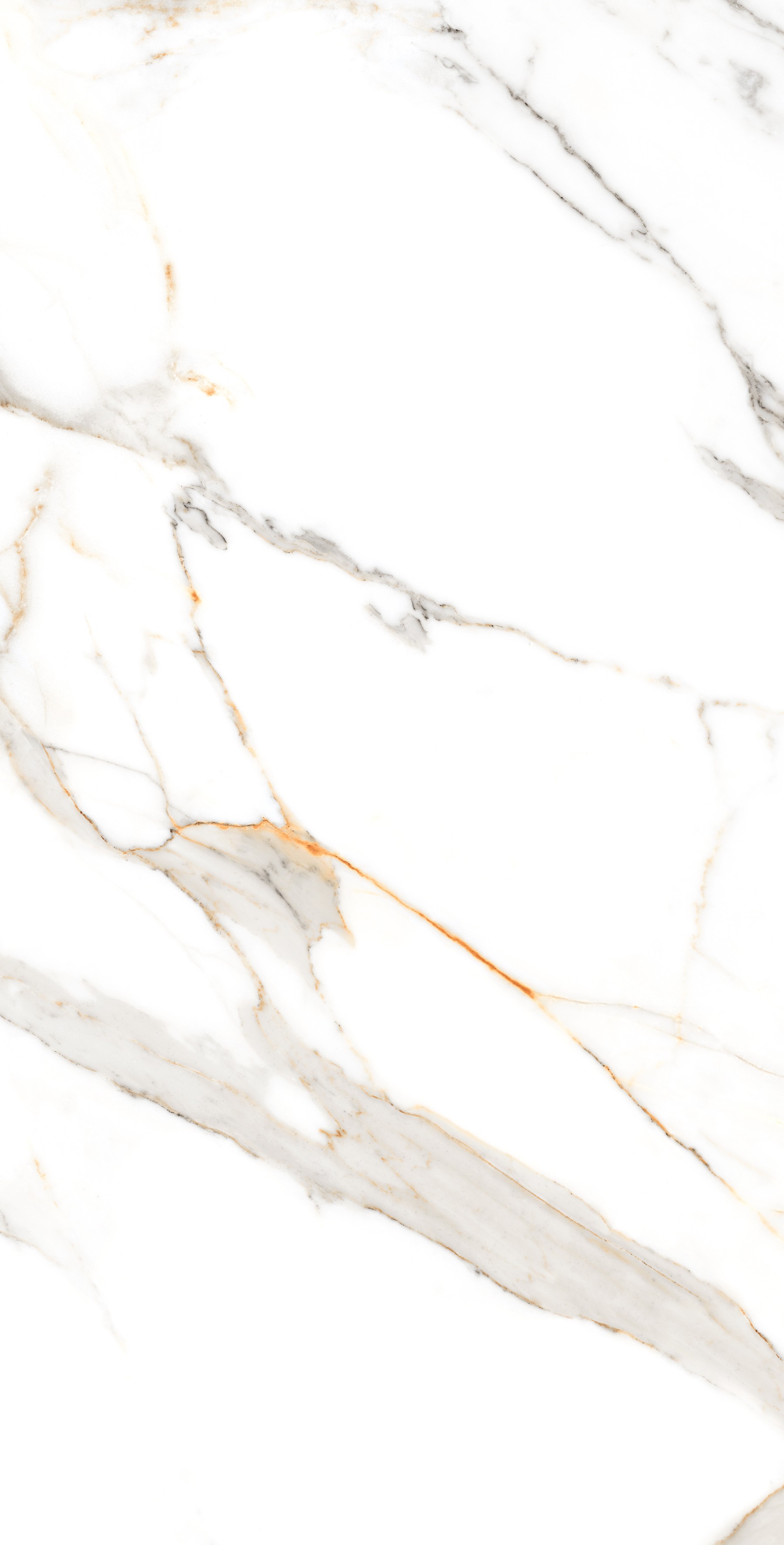 Regal Carrara Polished 60x120