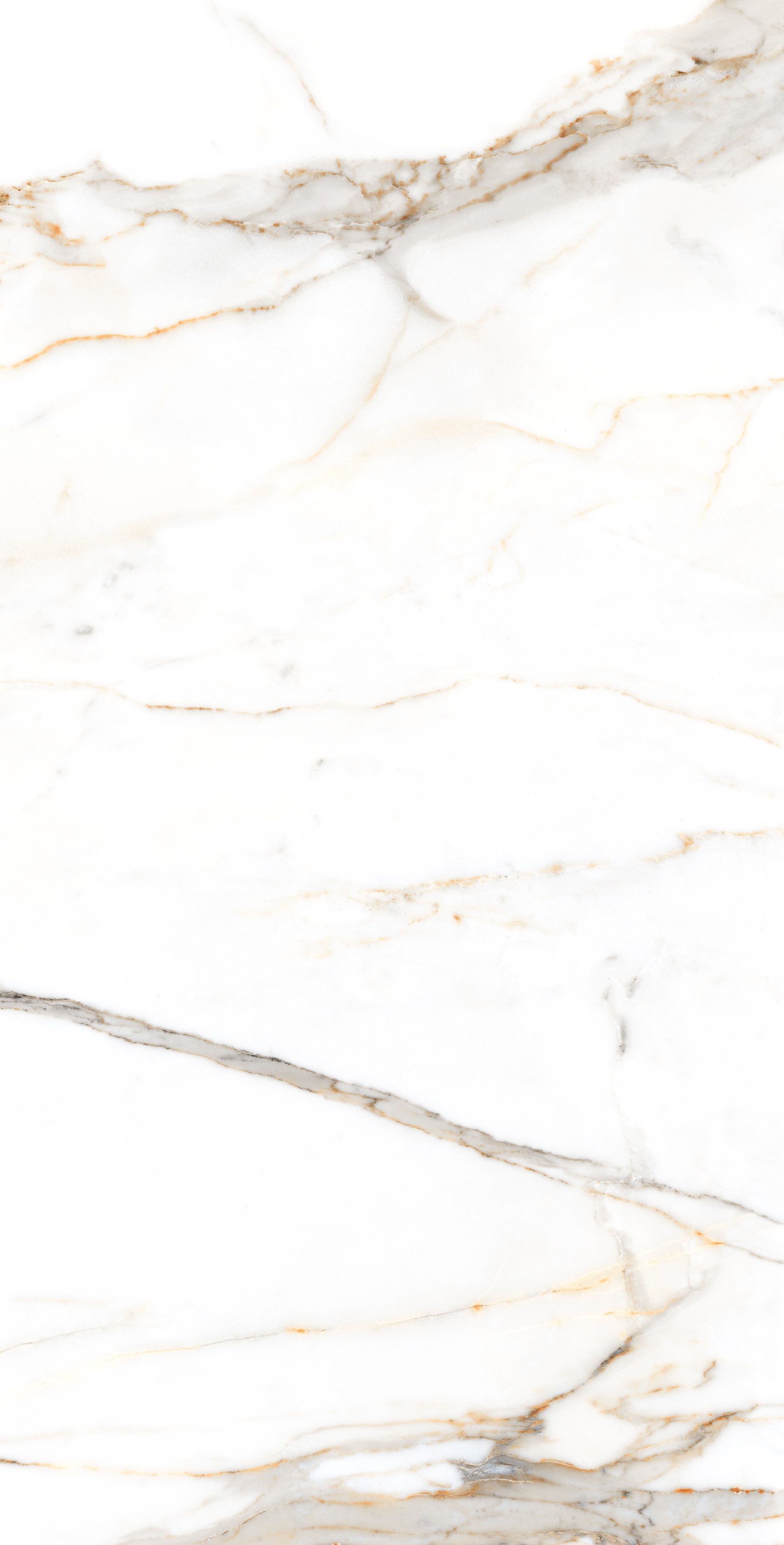 Regal Carrara Polished 60x120