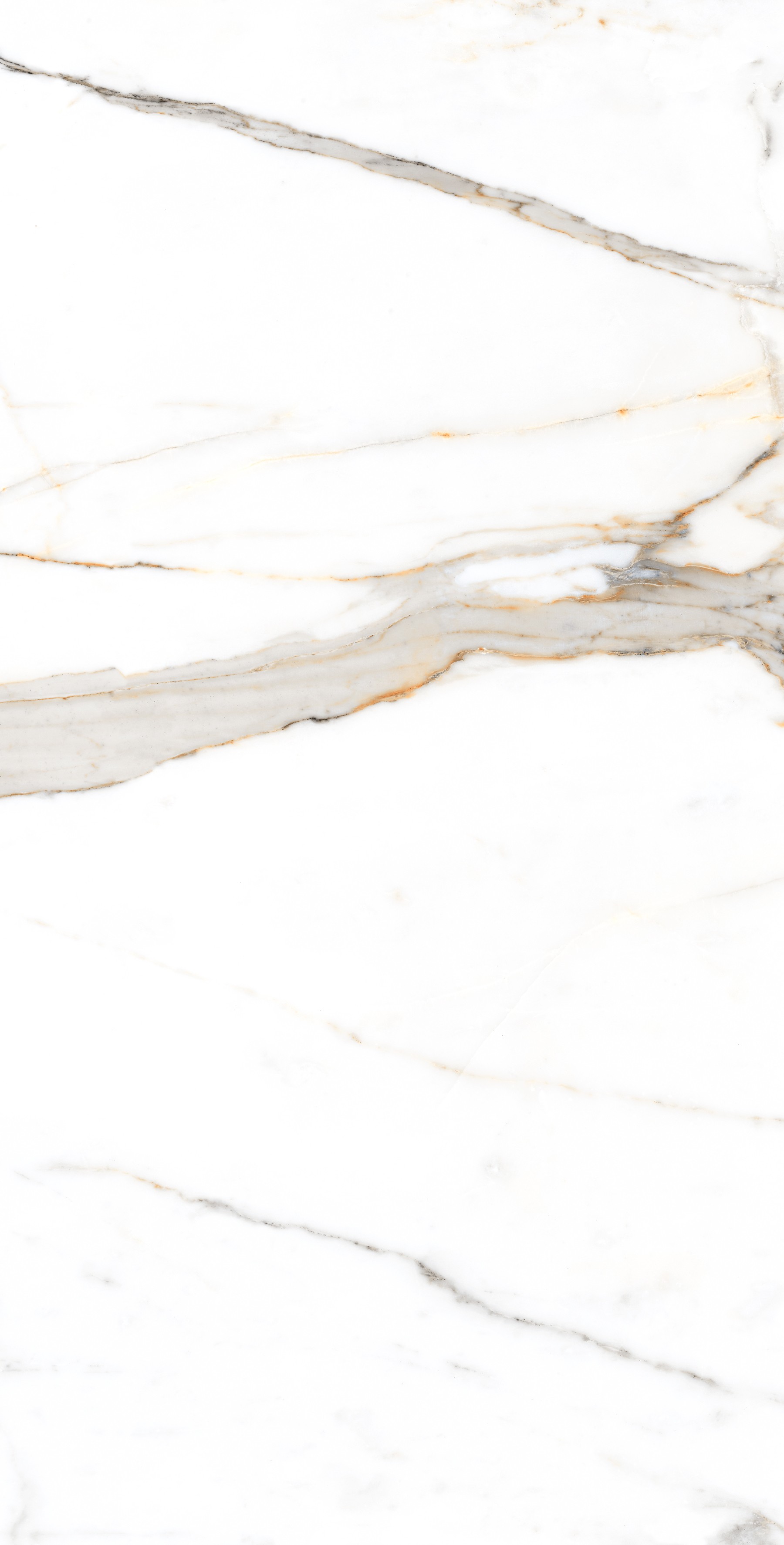 Regal Carrara Polished 60x120