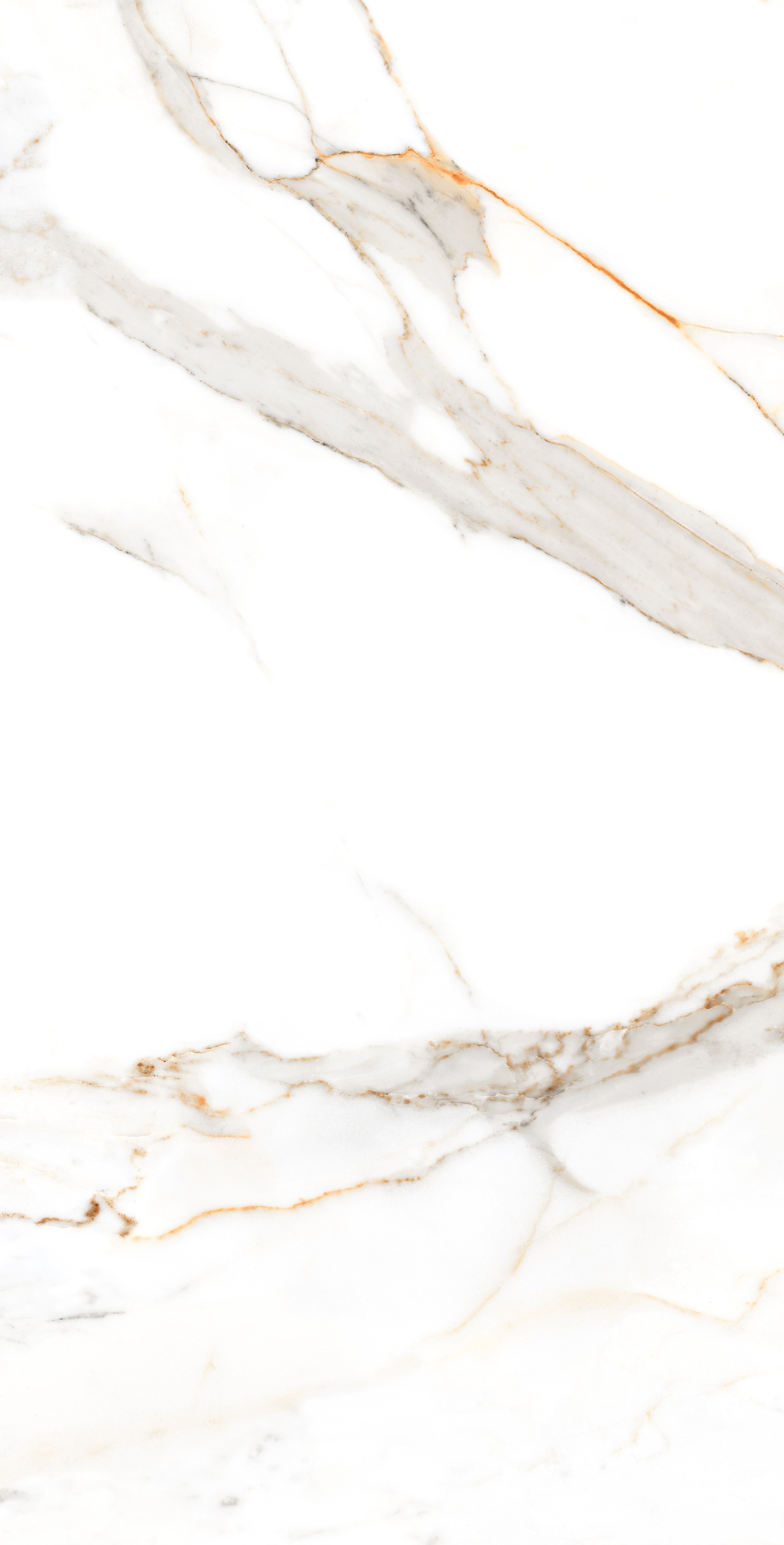 Regal Carrara Polished 60x120