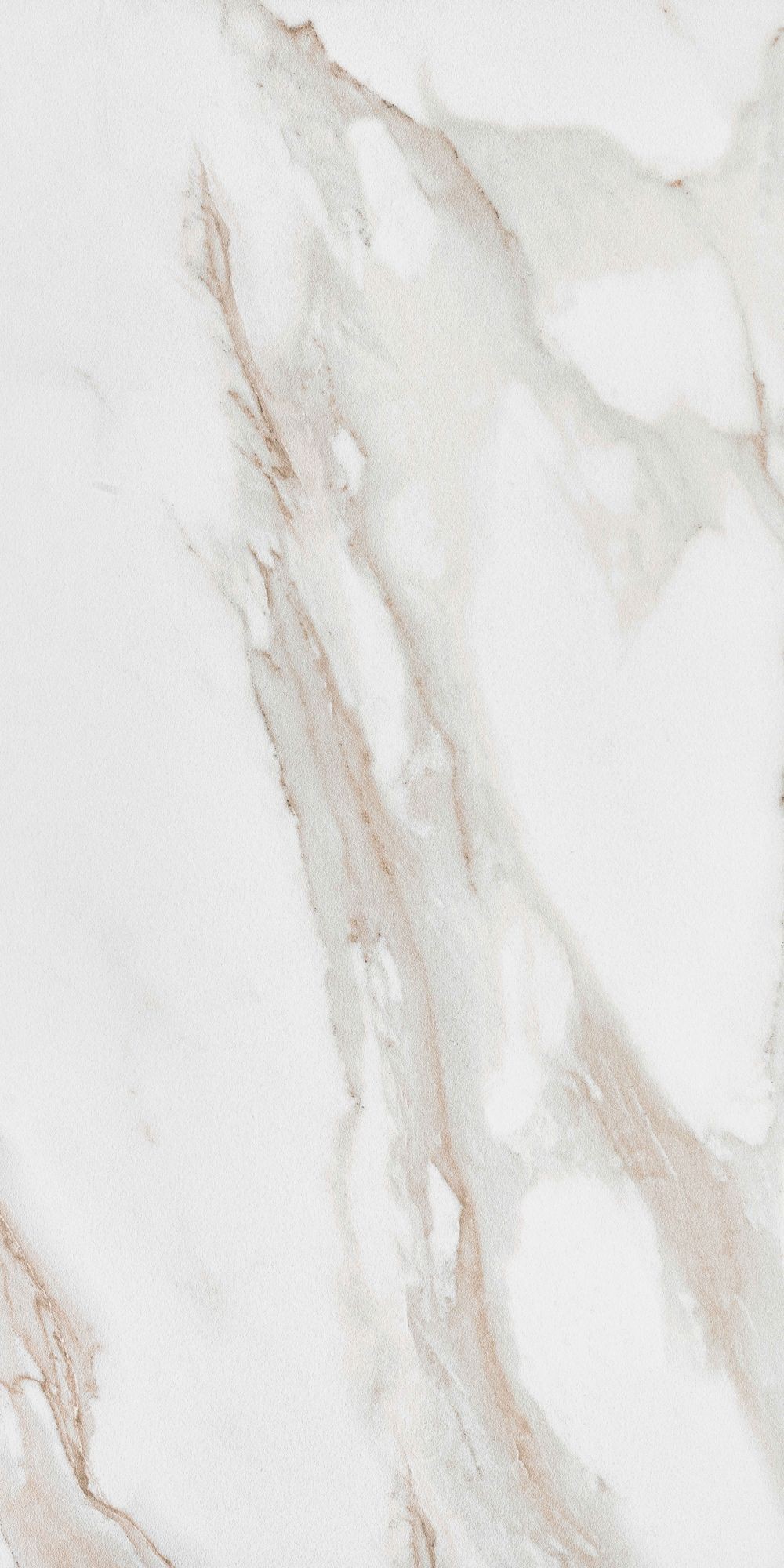 CALACATTA GOLD 60X120 20MM