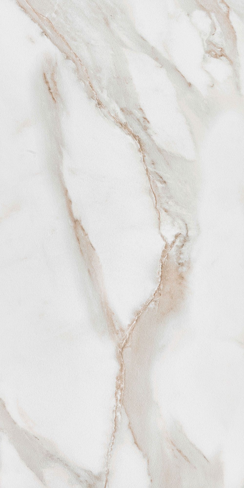 CALACATTA GOLD 60X120 20MM