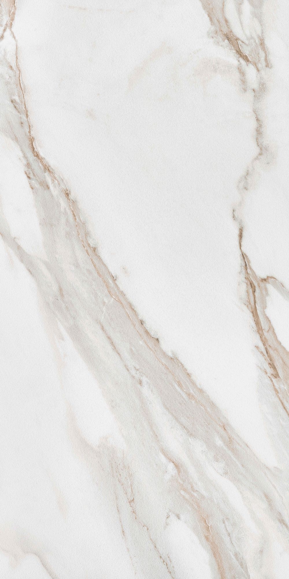 CALACATTA GOLD 60X120 20MM