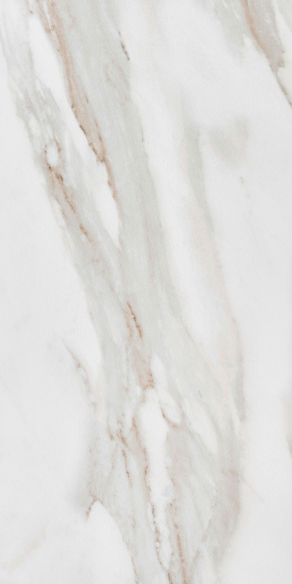 CALACATTA GOLD 60X120 20MM