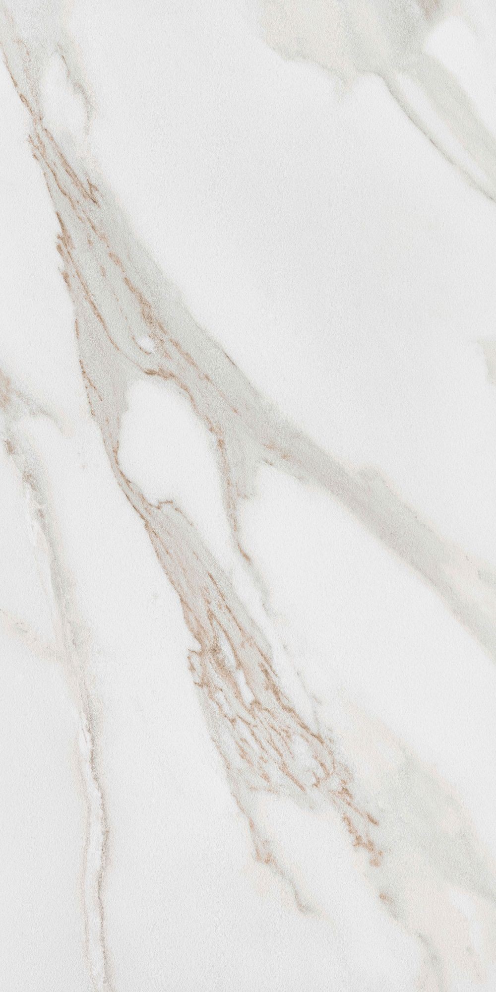 CALACATTA GOLD 60X120 20MM