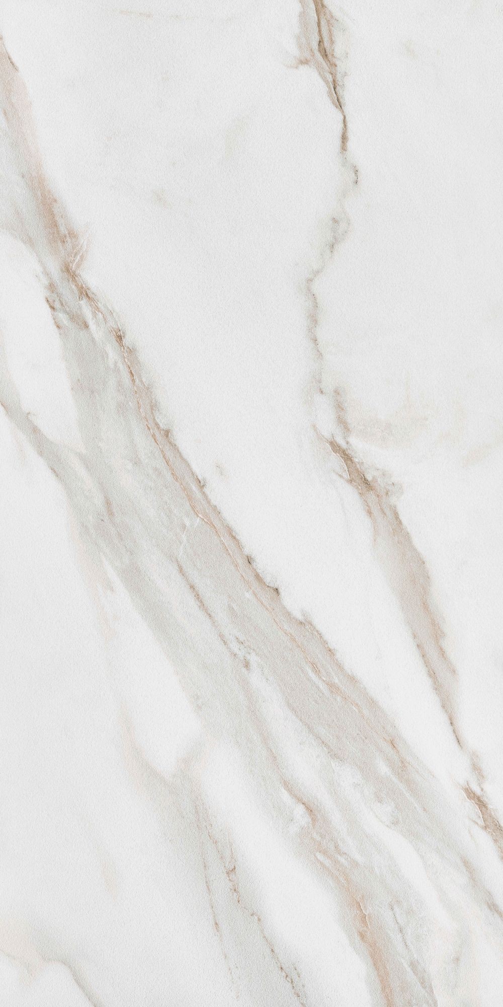 CALACATTA GOLD 60X120 20MM