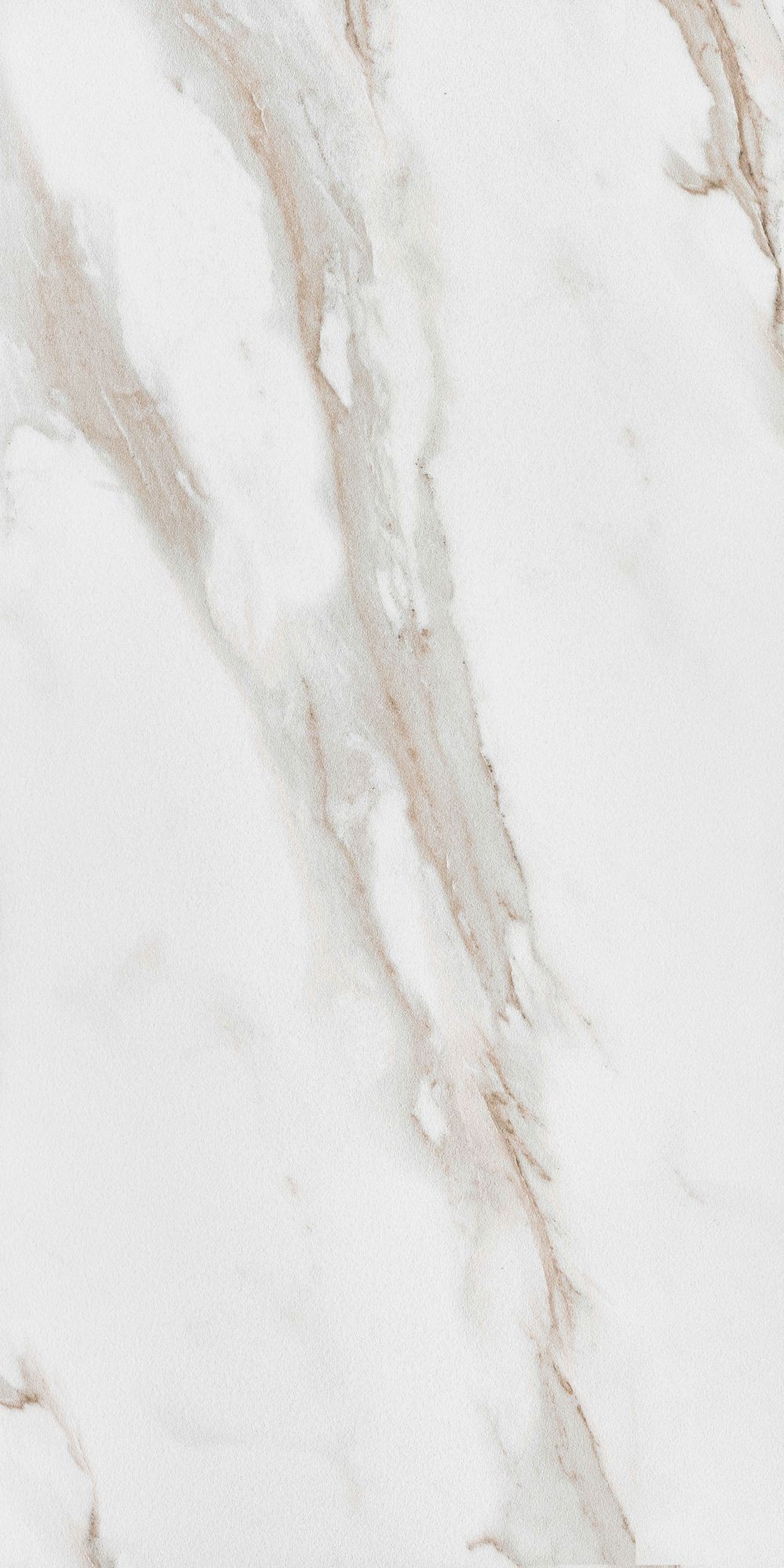 CALACATTA GOLD 60X120 20MM