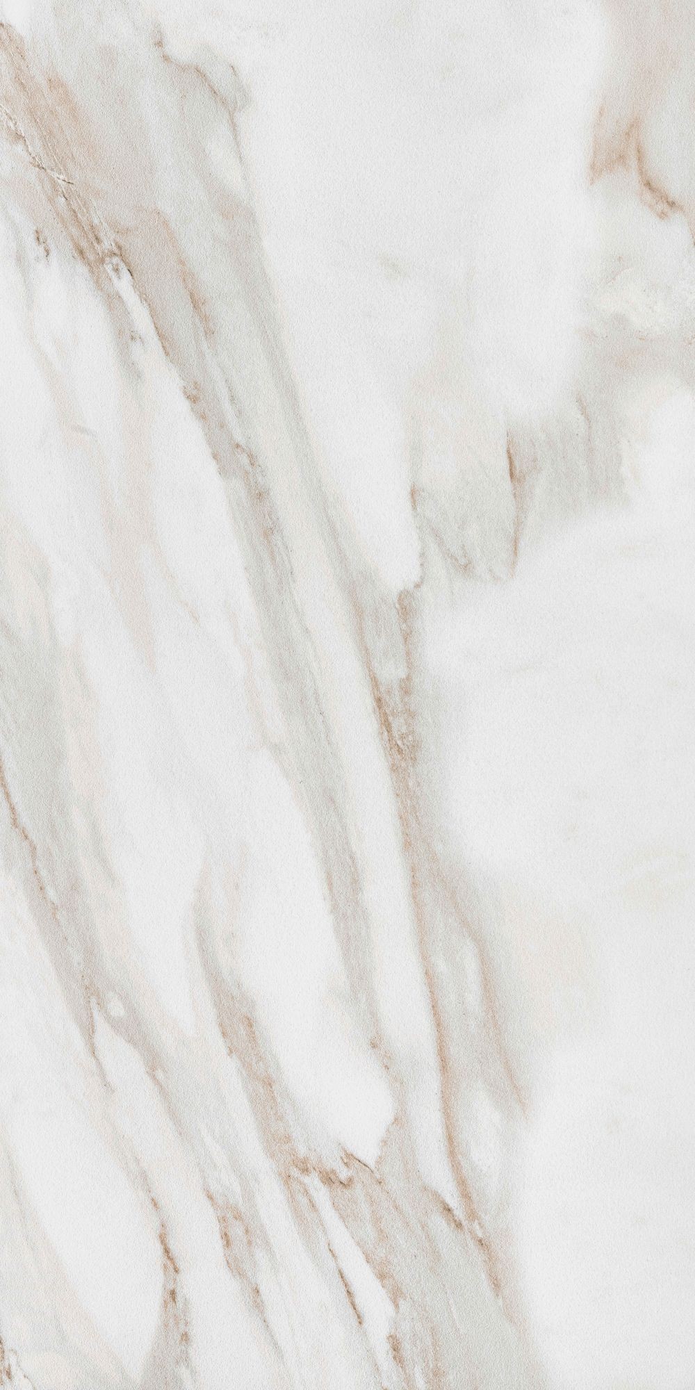 CALACATTA GOLD 60X120 20MM