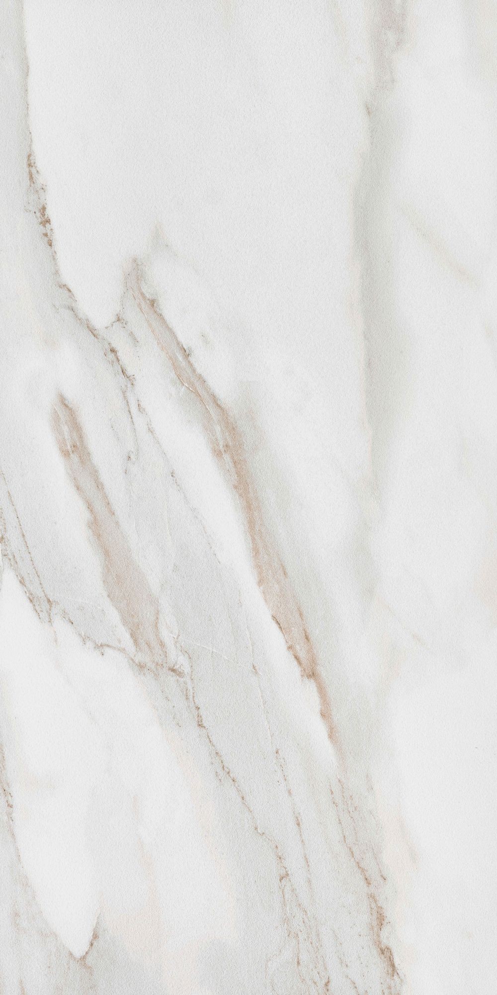 CALACATTA GOLD 60X120 20MM