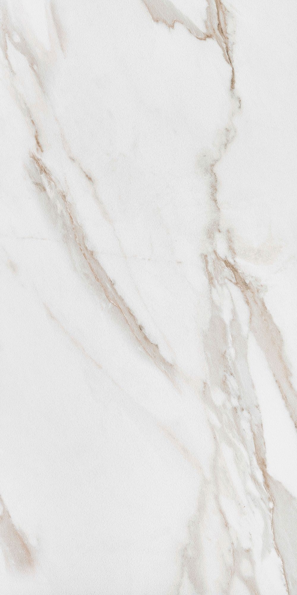 CALACATTA GOLD 60X120 20MM