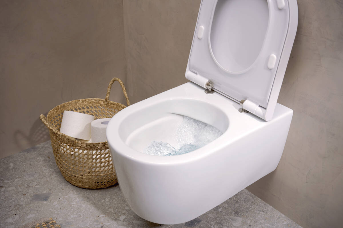 Hansgrohe EluPura S Wall Hung WC Set. Hansgrohe lists it as a wall-hung WC set with WC pan plus seat and cover, SoftClose, QuickRelease